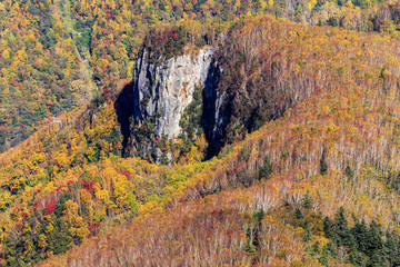 fall colors of autumn