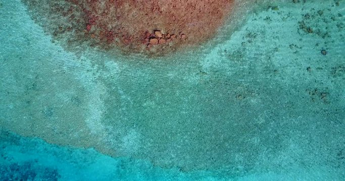 Belize Coral Reef High Angle, Background