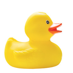 rubber duck - 300061980