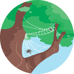 Spider On Tree Commensalism Illustration