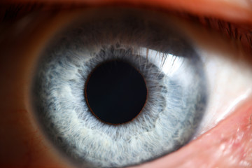 Blue eye male human super macro closeup