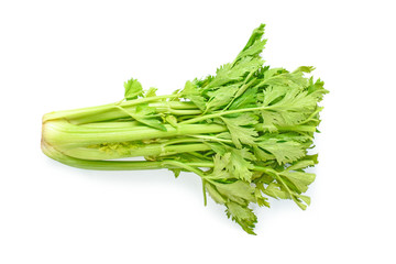 Fresh Celery on white background.