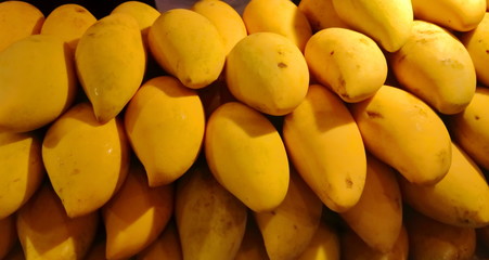 Fototapeta na wymiar Closeup pile of ripe mangoes in supermarket, selective focus. Mango is popular fruit of Thailand