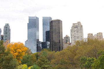 Tall buildings in New York seen from Central Park on a cloudy day