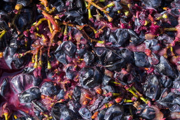 Wine material, grape juice - must, stum, maun. Technology of wine production in Moldova. The folk tradition of making wine. The ancient tradition of grape processing.