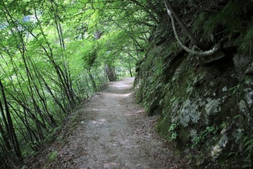 西沢渓谷の登山道