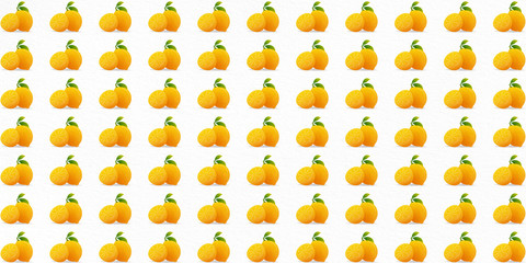 Fresh lemon fruit cut in half with leaves, pattern illustration isolated on white background.