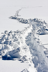Fototapeta na wymiar trail in the snow