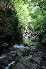 Obraz premium 西沢渓谷の清流 