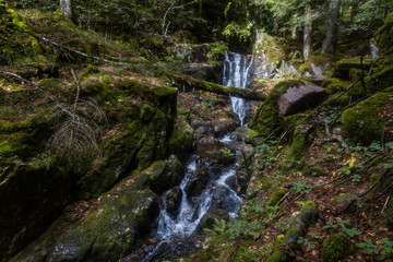 Hiking GR5 through the Vosges
