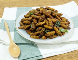 Deep Fried Coconut Worms on A White Dish