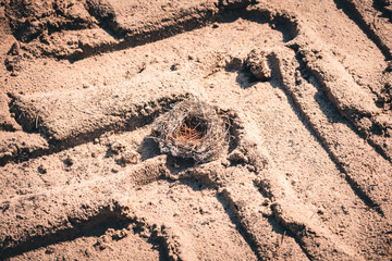 Deep tracks from the wheels of large truck on the sand in forest area.