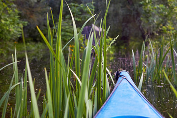 Bow (prow) of blue kayak against a background of green summer trees and grass on the bank of Danube river. Kayaking on peaceful calm lake or river