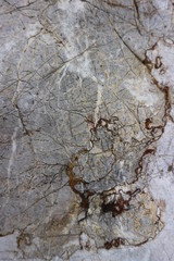 old stone texture as a background