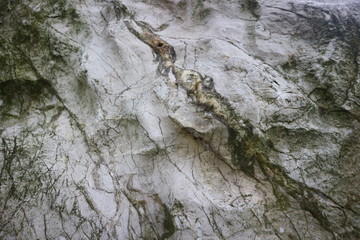 Old stone background