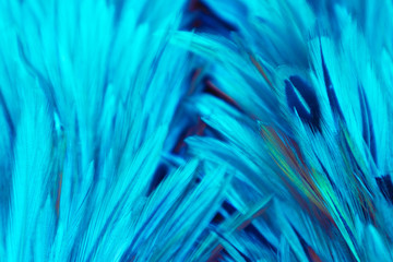 Beautiful abstract colorful pink and white feathers on dark background and soft white blue feather texture on white pattern
