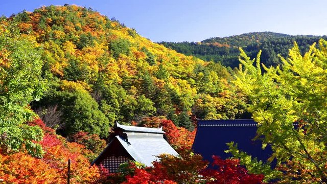 【長野県】紅葉の霊松寺　大町市
