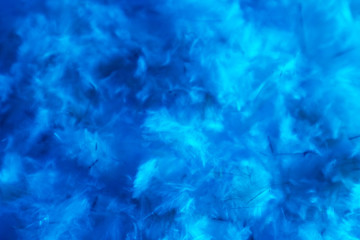Fototapeta na wymiar Beautiful abstract colorful pink and white feathers on dark background and soft white blue feather texture on white pattern