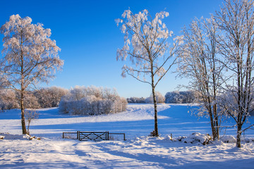 Winter landscape with a gate to a field