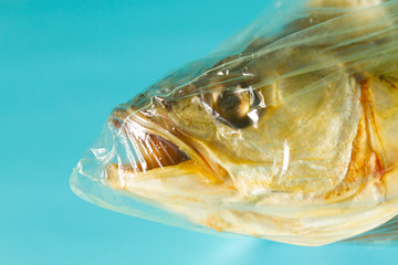 Fish inside plastic bag