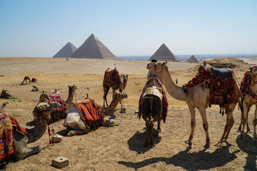 the Pyramids of Giza, Egypt