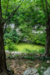 Secret, beautiful cenote hidden in the forest