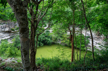 Secret, beautiful cenote hidden in the forest