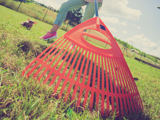 Unusual angle of woman raking leaves