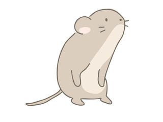 カヤネズミ