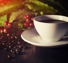 Coffee products and a cup of coffee on a wooden background with ambient light. There is blank space for background. Selective focus.