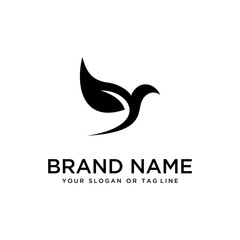 Obraz premium bird design logo vector white background template
