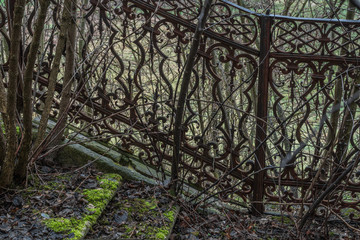 geschmiedetes gelaender und stiegen mit moos von einem schloss