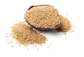 Oat grains on a white background 