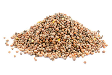 Radish seeds isolated on white, front view. Handful of seeds radish isolated on white. A pile of dry radish seeds. Seeds for germination and consumption.