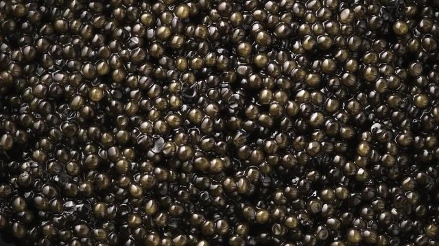 Caviar closeup. Black caviar background. High quality natural sturgeon caviar close-up, rotation. Delicatessen. Slow motion. 4K UHD video footage 3840X2160