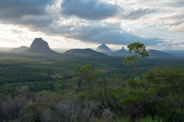 Glass House Mountains at sunset