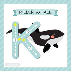Letter K uppercase tracing. Killer whale