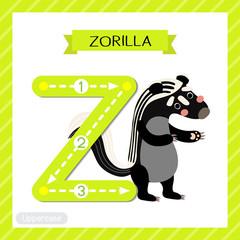 Letter Z uppercase tracing. Zorilla