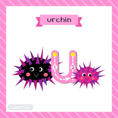 Letter U lowercase tracing. Urchin