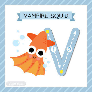 Letter V Uppercase Tracing. Vampire Squid