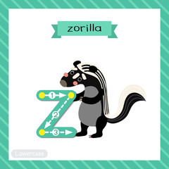 Letter Z lowercase tracing. Zorilla