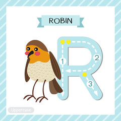 Letter R uppercase tracing. Standing Robin bird
