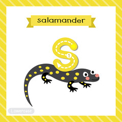 Letter S lowercase tracing. Salamander