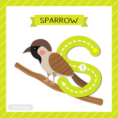 Letter S uppercase tracing. Sparrow bird