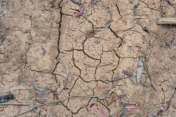 drought in australia , dried up mud