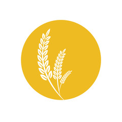 Agriculture wheat vector Illustration design template. elements of wheat grain, wheat ears, seed or rye, prosperity symbol	