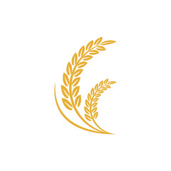 Agriculture wheat vector Illustration design template. elements of wheat grain, wheat ears, seed or rye, prosperity symbol	
