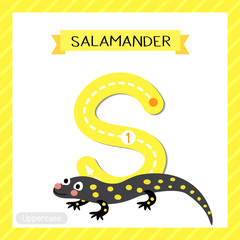 Letter S uppercase tracing. Salamander