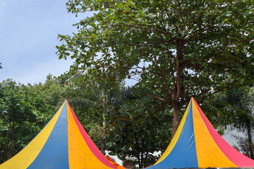 colorful tent in the forest