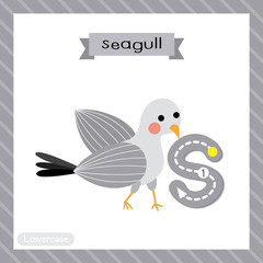 Letter S lowercase tracing. Standing Seagull bird